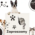 Apartman Grunwaldzka 12 B22 - Easy-rent - 50m Od Plazy *